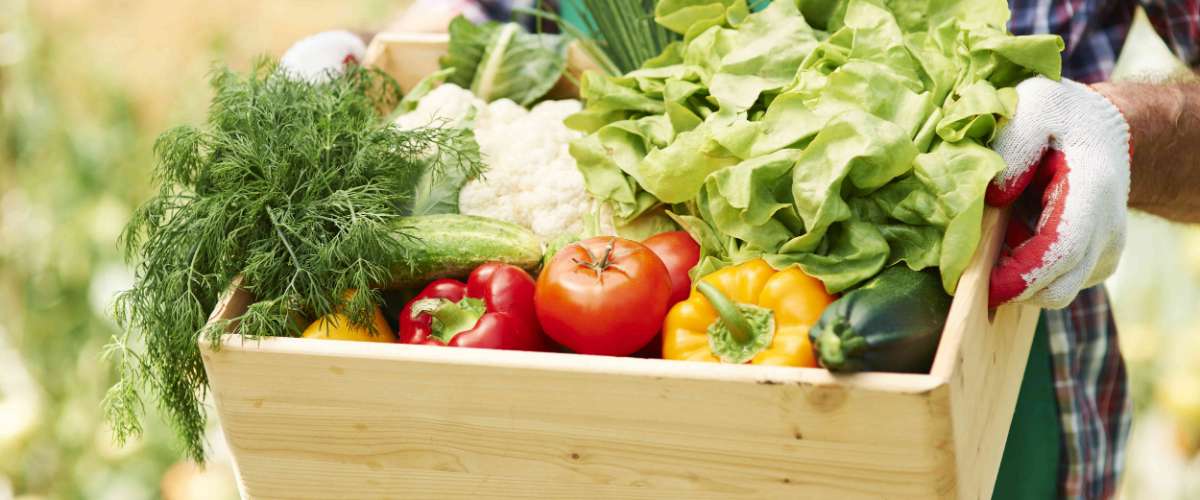 świeże warzywa - źródło błonnika pokarmowego